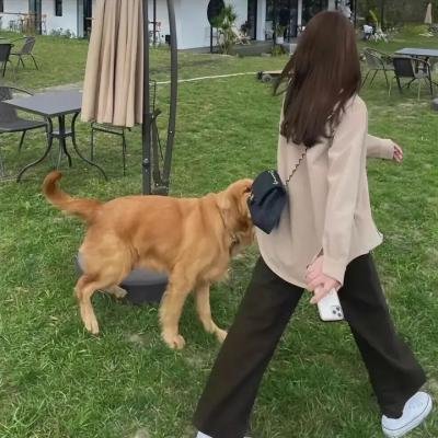 花与树